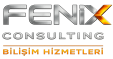 Fenix Bilişim, Web Tasarım ve Sosyal Medya Ajansı